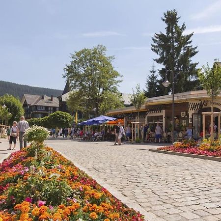 Sieben Tannen Titisee + Hochschwarzwald Card Lägenhet Exteriör bild