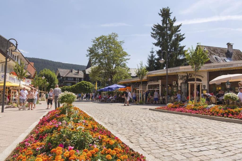 Sieben Tannen Titisee + Hochschwarzwald Card Lägenhet Exteriör bild