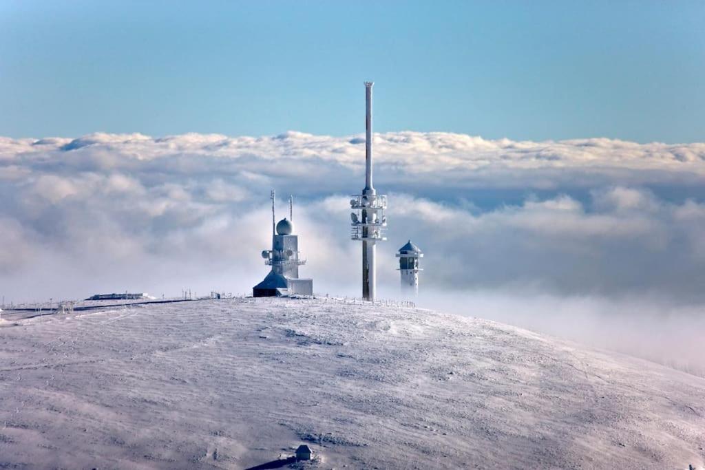 Sieben Tannen Titisee + Hochschwarzwald Card Lägenhet Exteriör bild