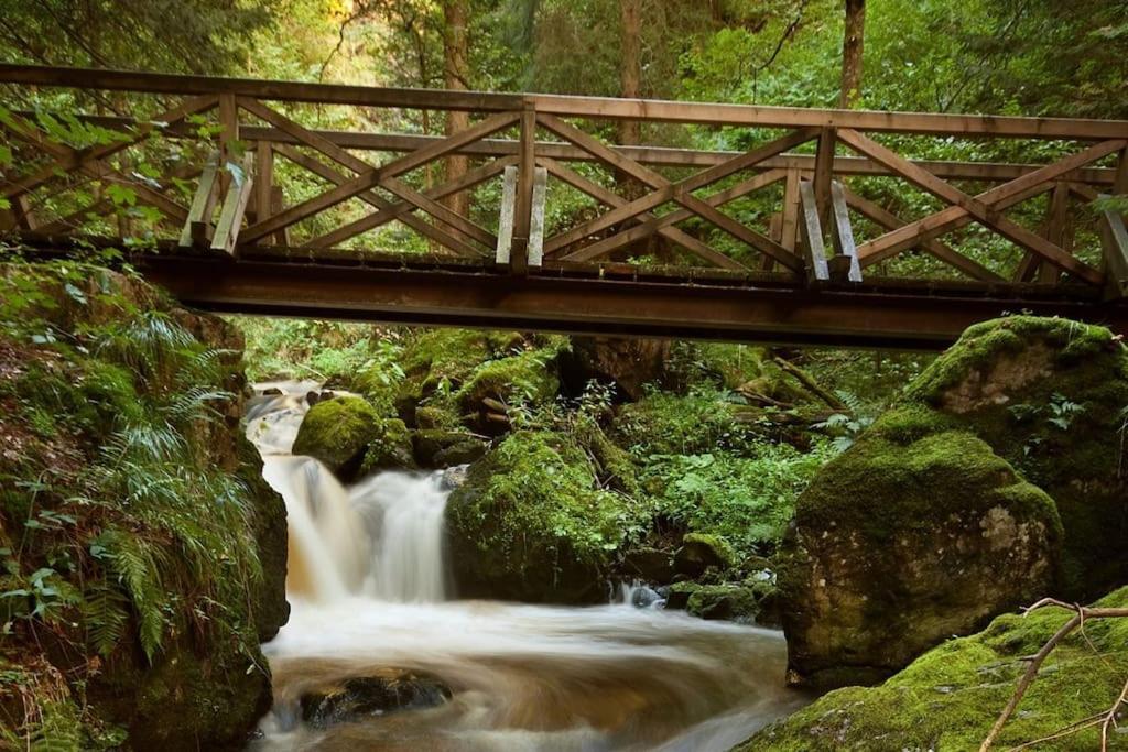Sieben Tannen Titisee + Hochschwarzwald Card Lägenhet Exteriör bild