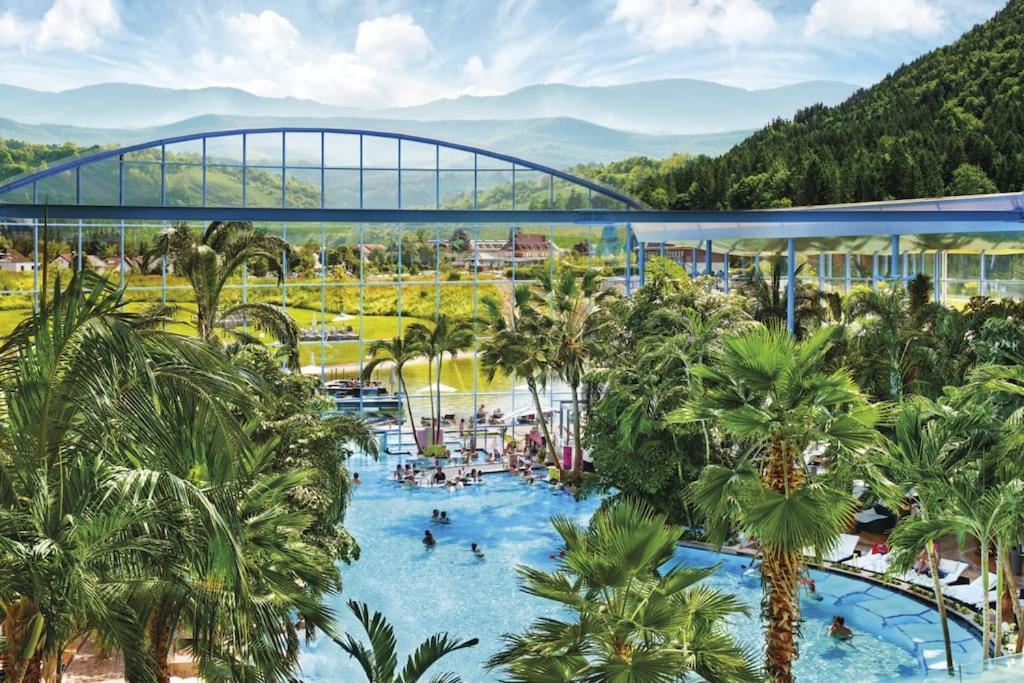 Sieben Tannen Titisee + Hochschwarzwald Card Lägenhet Exteriör bild