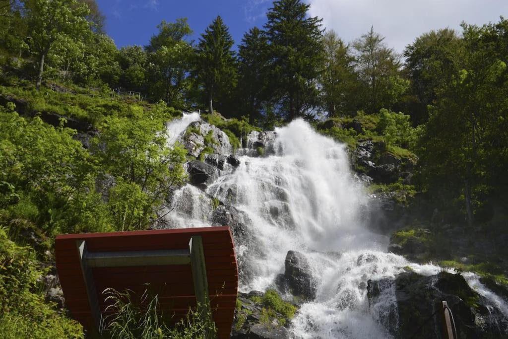 Sieben Tannen Titisee + Hochschwarzwald Card Lägenhet Exteriör bild