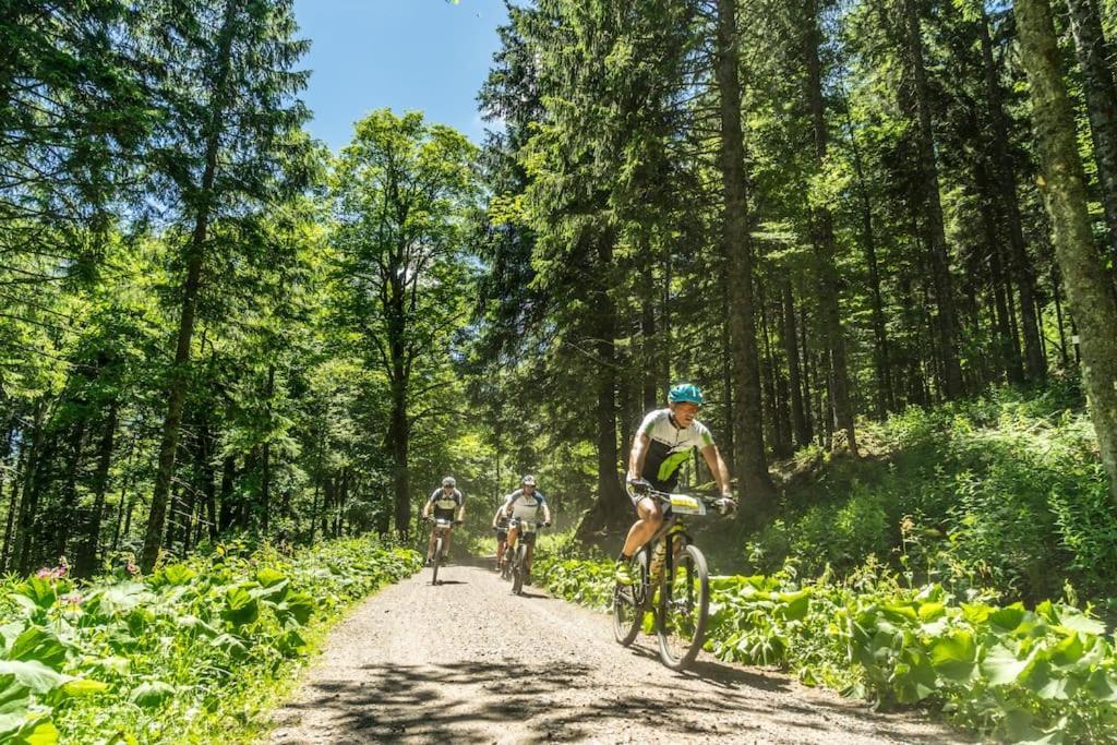 Sieben Tannen Titisee + Hochschwarzwald Card Lägenhet Exteriör bild