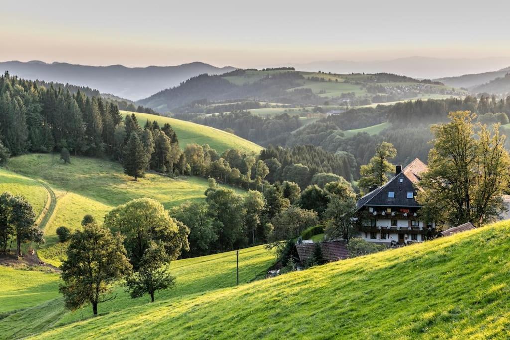 Sieben Tannen Titisee + Hochschwarzwald Card Lägenhet Exteriör bild