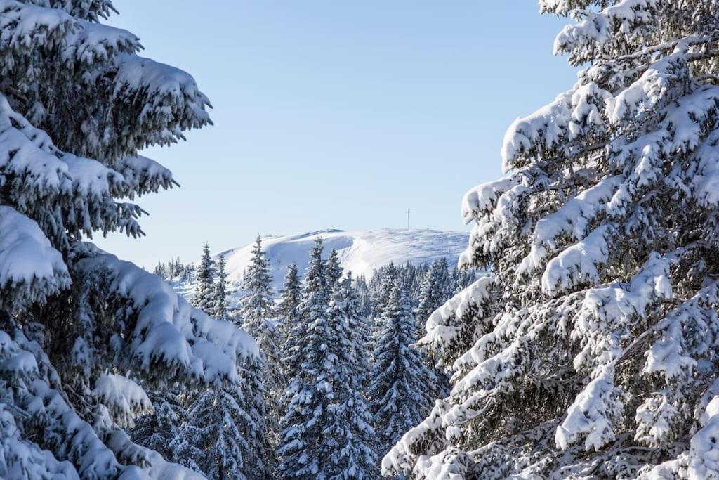 Sieben Tannen Titisee + Hochschwarzwald Card Lägenhet Exteriör bild