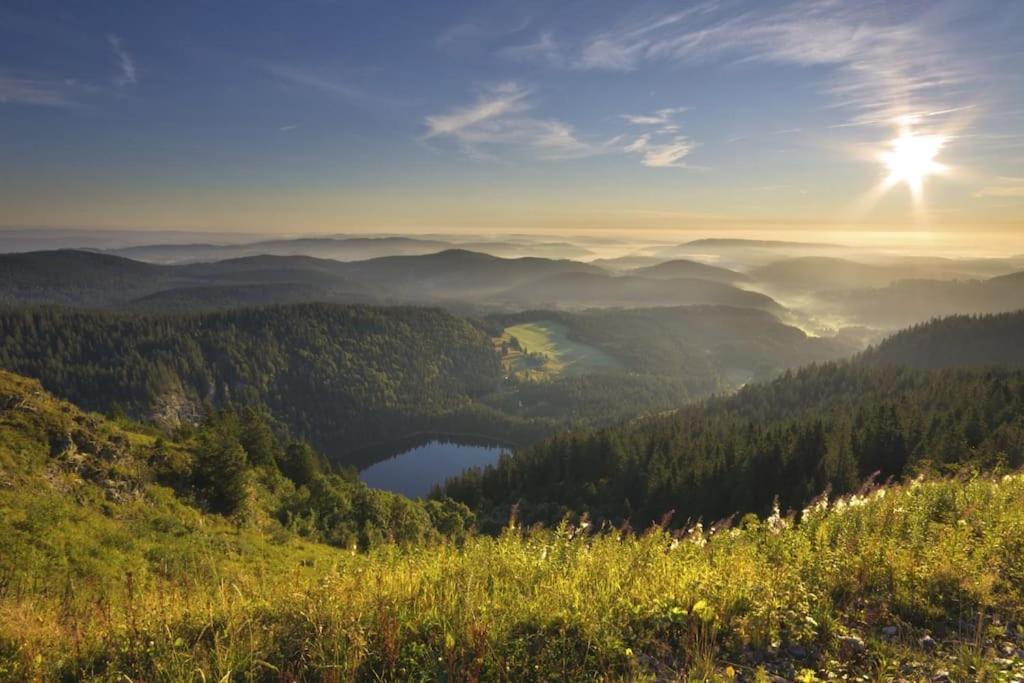 Sieben Tannen Titisee + Hochschwarzwald Card Lägenhet Exteriör bild